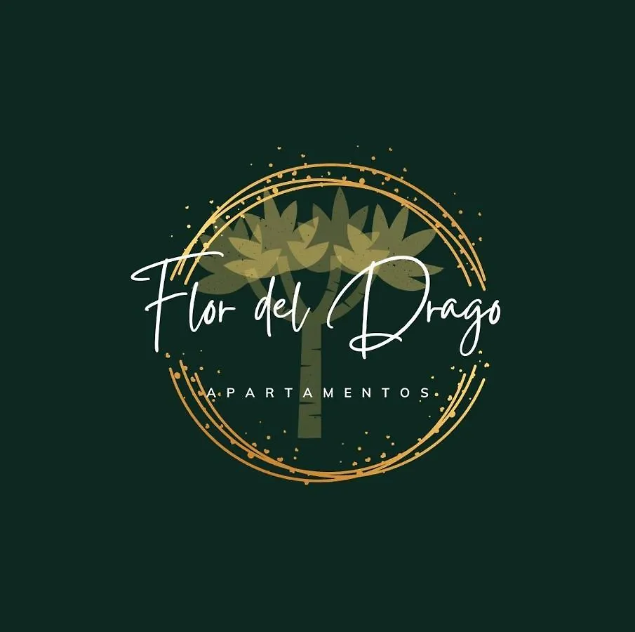 Flor Del Drago Apartment Icod De Los Vinos